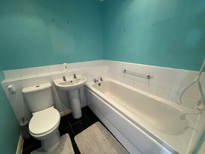 Picture 17